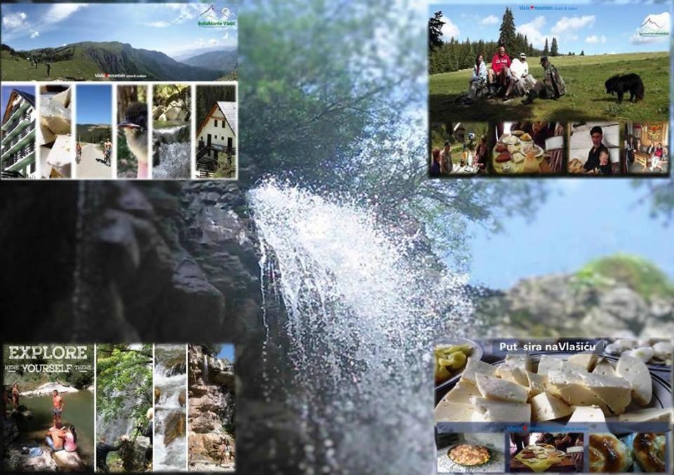 Apartments Bellamonte ヴラシチ エクステリア 写真